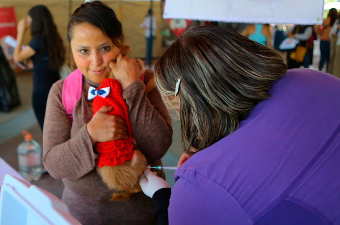 ecatepec campaña esterilizacion