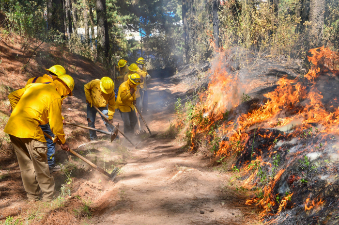incendiop