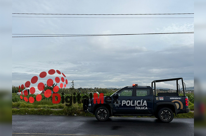 camioneta cacalomacan2