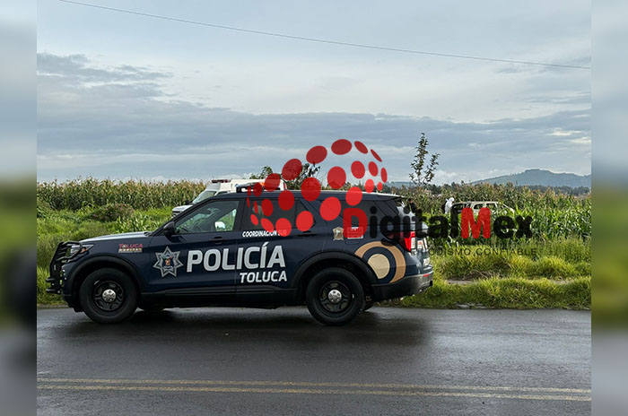 camioneta llamas cacalomacan
