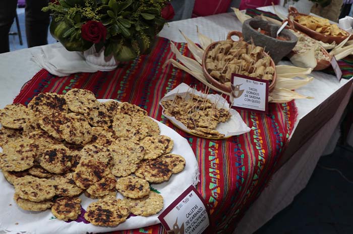 alimentos maiz