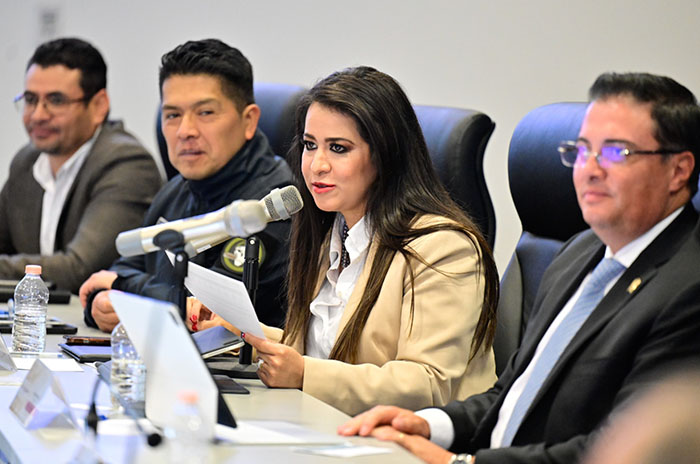 sector empresarial edomex gem