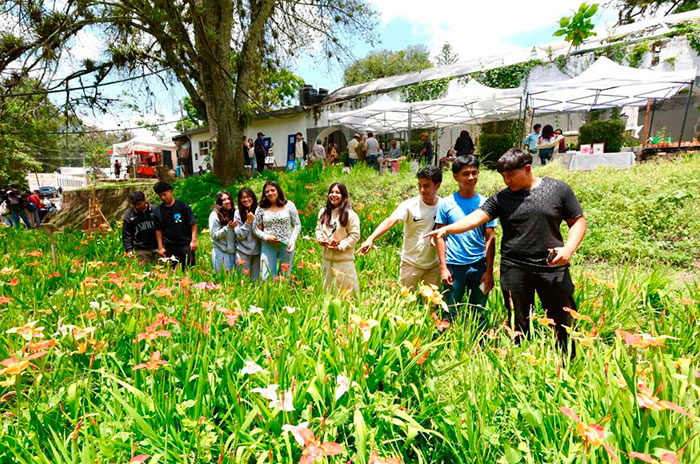 uaemex tenancingo expo