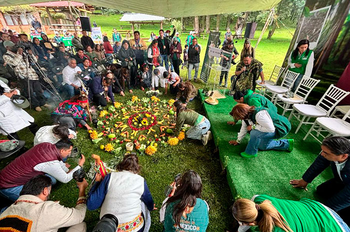 partido verde