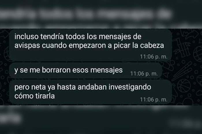 patrimonio uaemex1