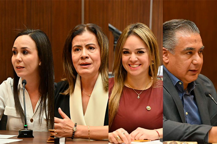 eleccion codhem puesto4