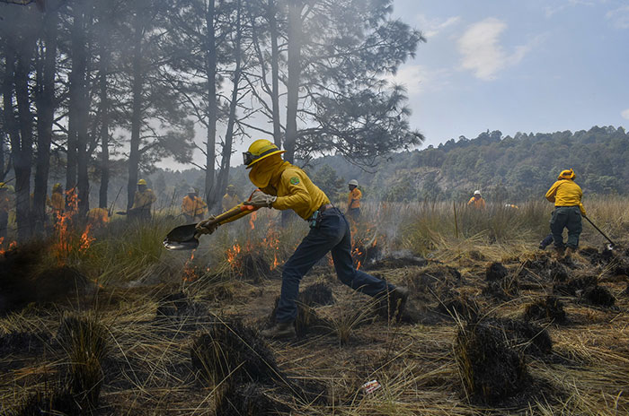 edomex incendios