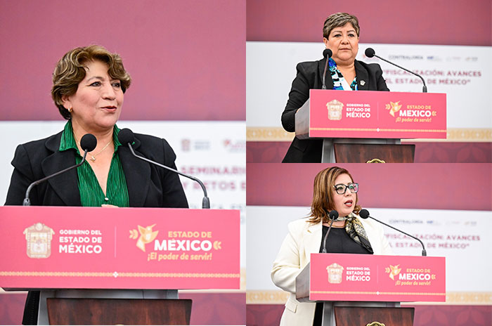 foto fiscalización delfina