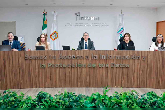infoem garantizar transparencia