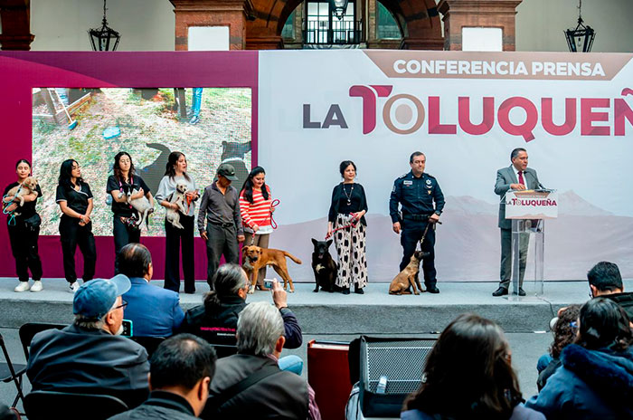 toluqueña ricardo moreno1
