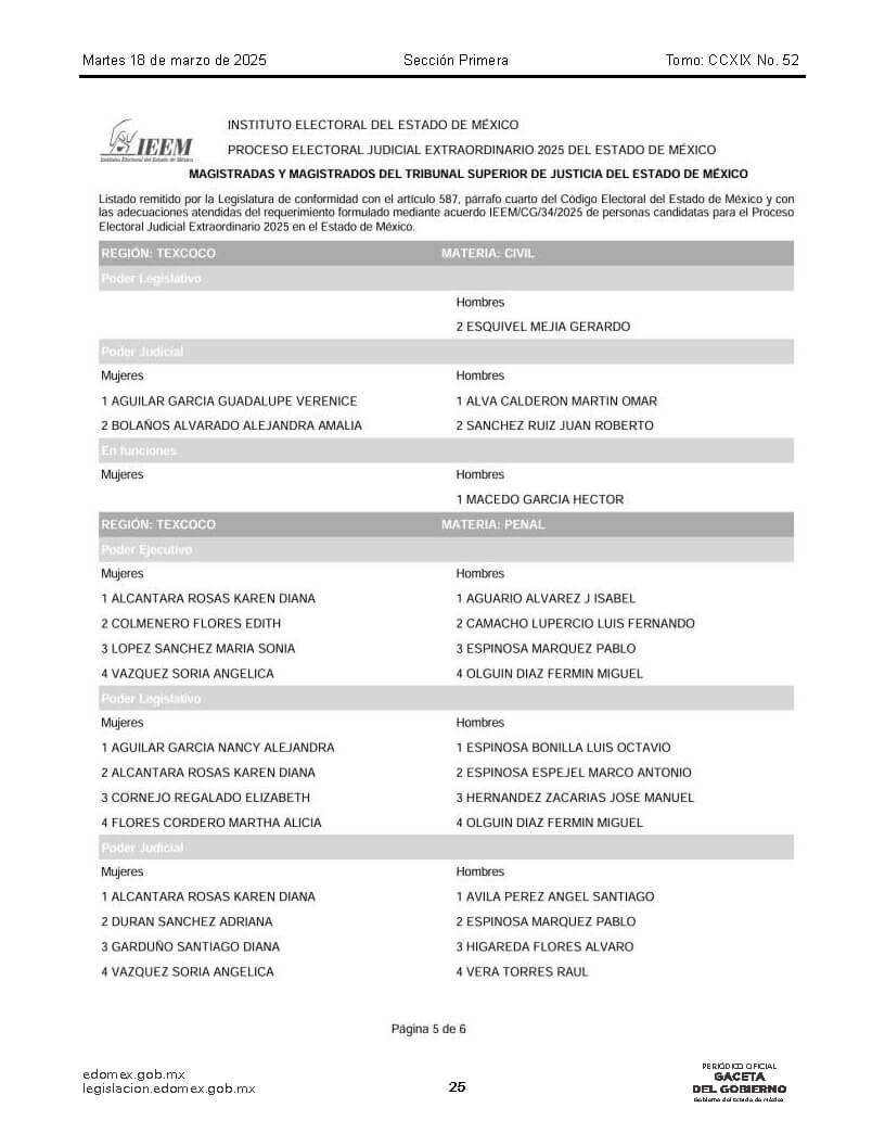 lista de candidatos al poder judicial Página 06