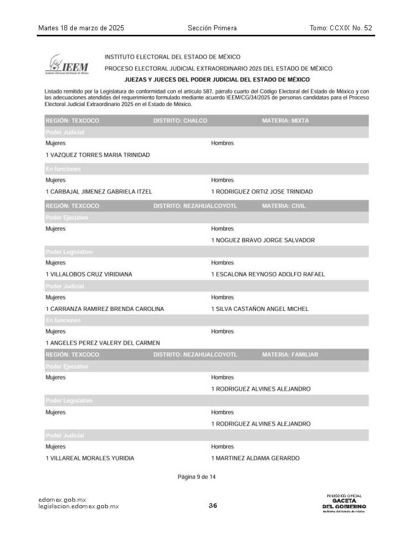 lista de candidatos al poder judicial Página 17