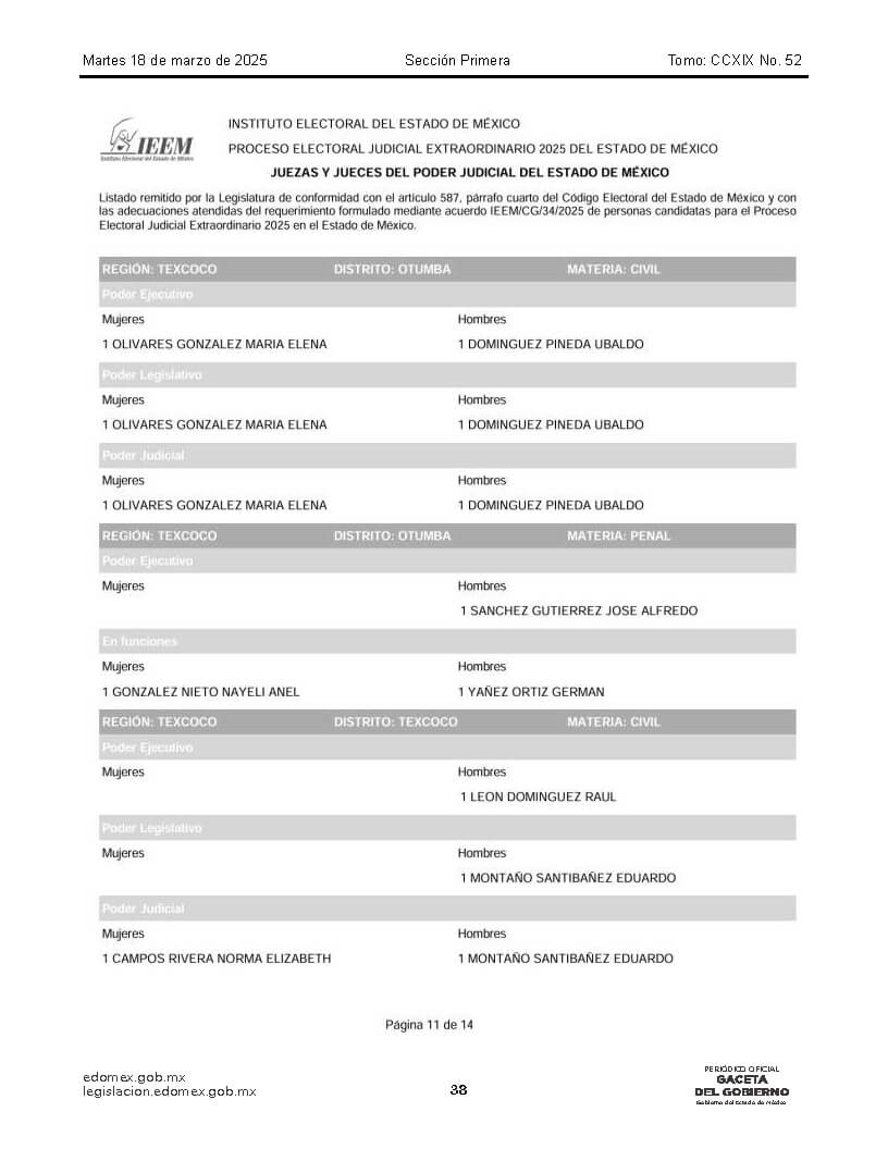 lista de candidatos al poder judicial Página 19