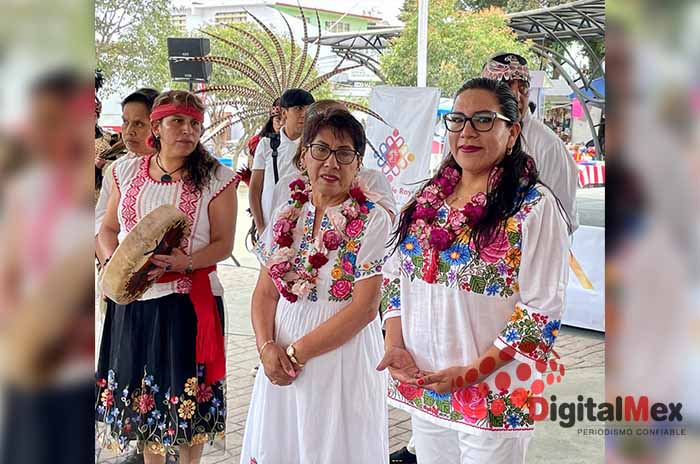 rayon evento festival