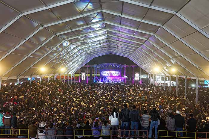 dos feria almoloya
