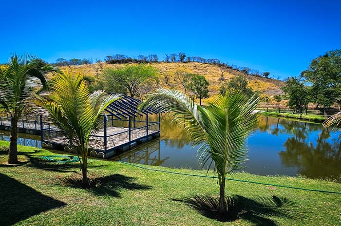 lago