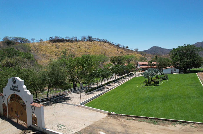las peñuelas