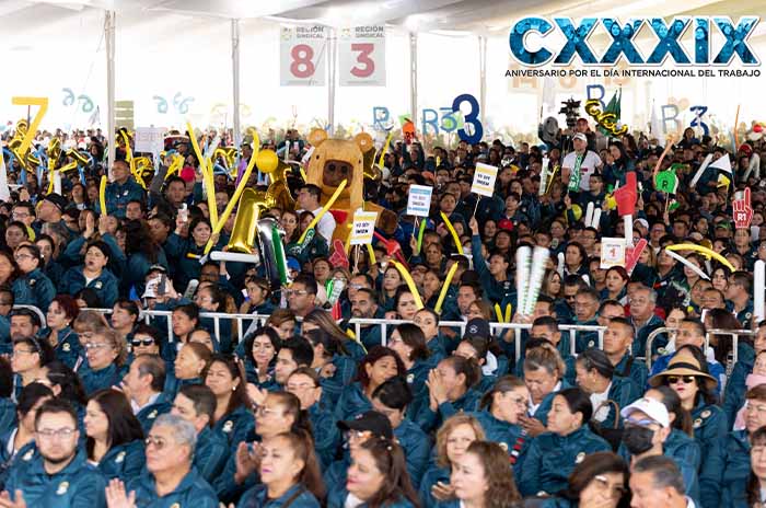 docentes smsem