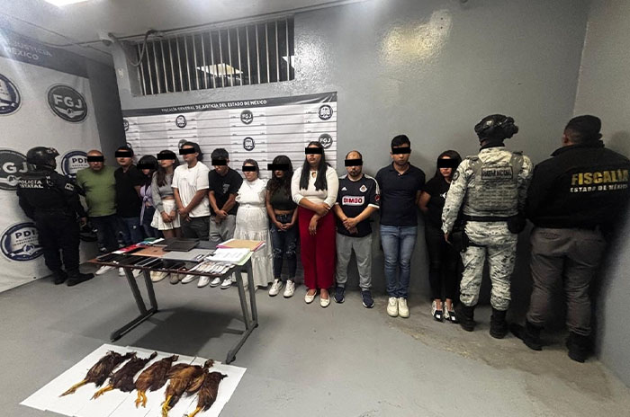 gallinas muertas predio ecatepec
