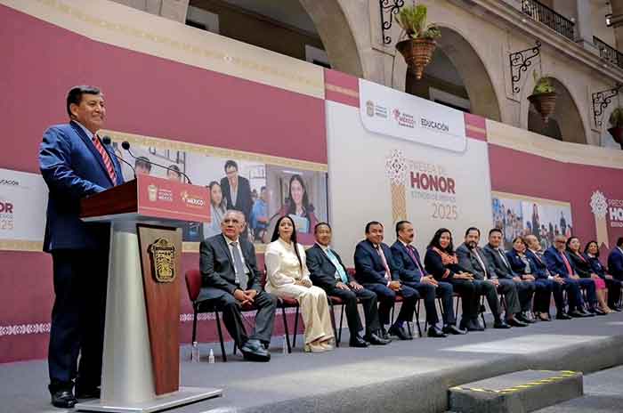 smsem delfina gratificacion