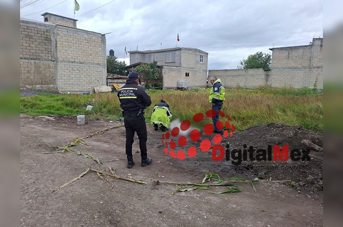 hombre situacion calle toluca