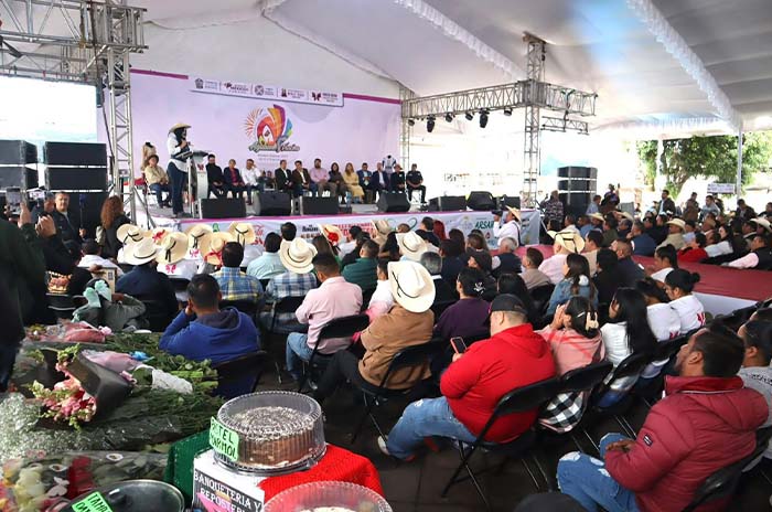 feria donato guerra 3