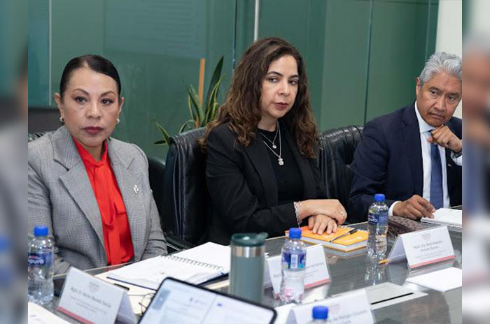 integrantes tribunal disciplina j