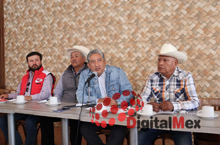 lider maiz 3