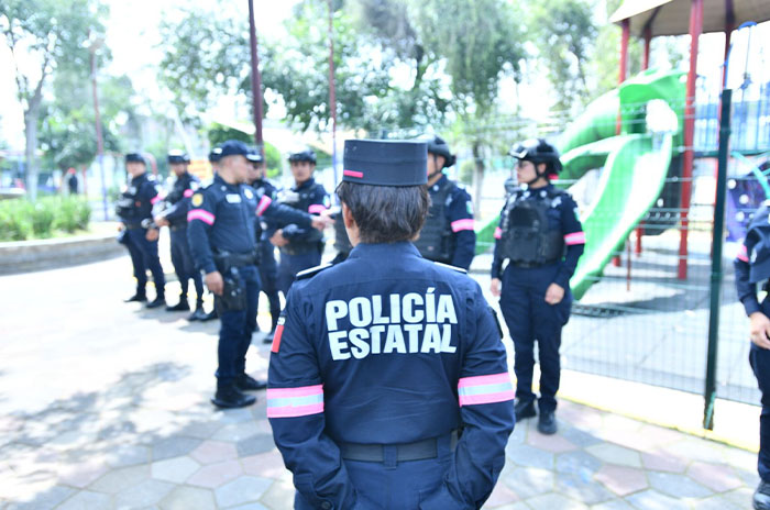 operativo violeta 4