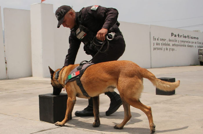 policia ecatepec entrenamiento marina