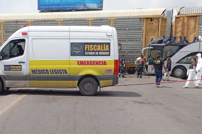 salud 5