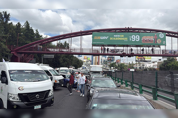 colectivo artemisas naucalpan marcha