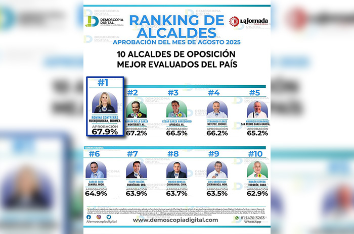 demoscopia digital