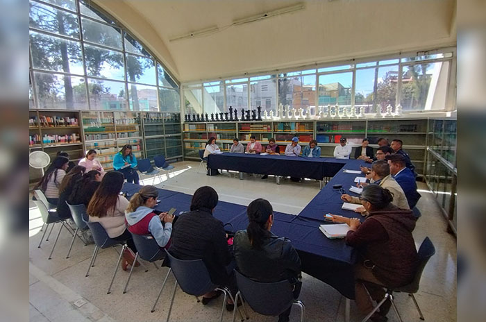 comites vigilancia toluca