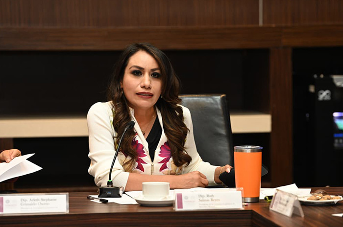 ruth salinas reyes diputada