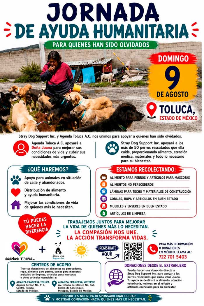 https://www.digitalmex.mx/images/2026/AGOSTO/03/perros.jpg