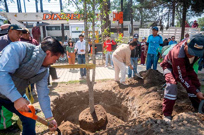https://www.digitalmex.mx/images/2026/AGOSTO/05/arboles-2.jpg