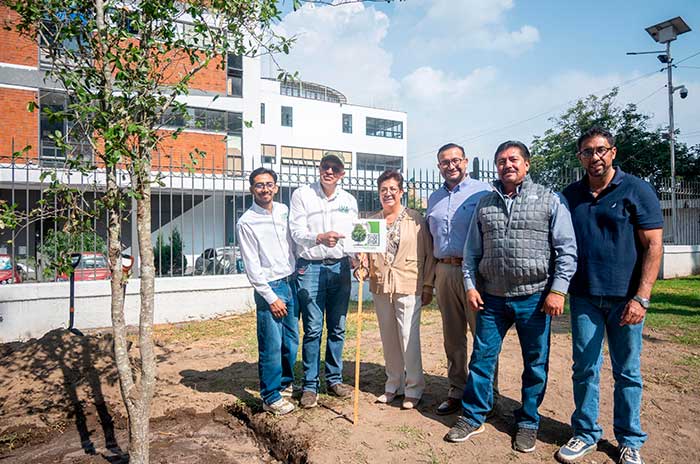 https://www.digitalmex.mx/images/2026/AGOSTO/05/arboles-3.jpg