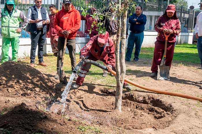 https://www.digitalmex.mx/images/2026/AGOSTO/05/arboles.jpg