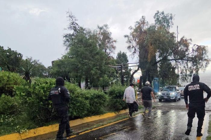 coacalco 2