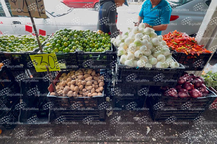 verduras2 1