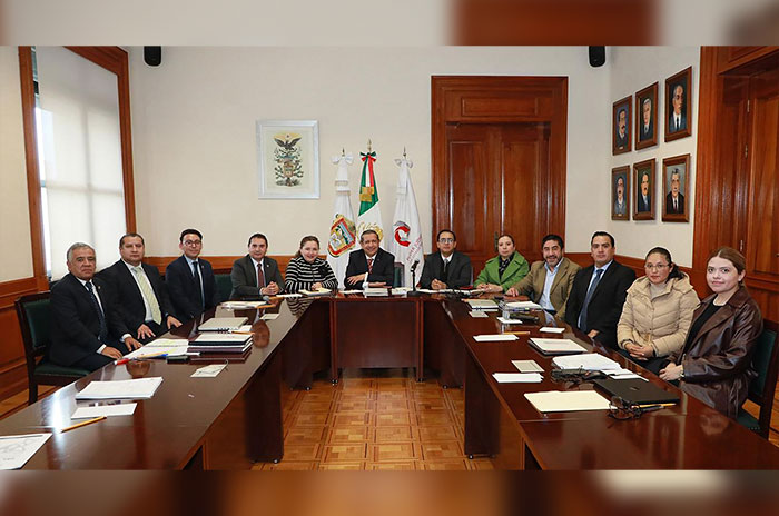 PJEdomex Ley Orgánica