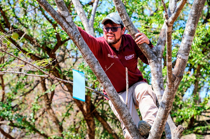 gusano barreandor edomex1
