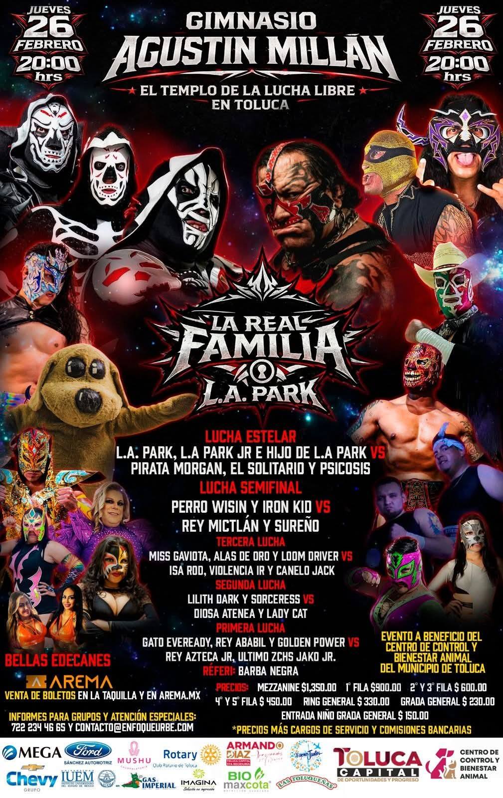 gimnasio agustin toluca