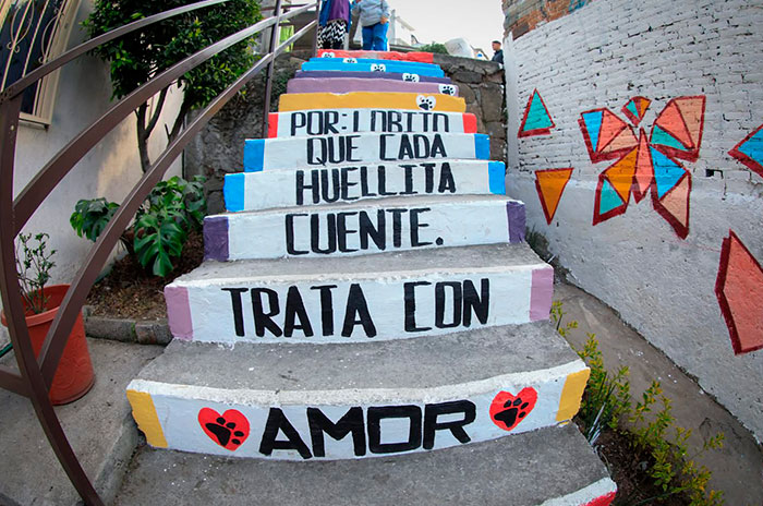 naucalpan andador lobito