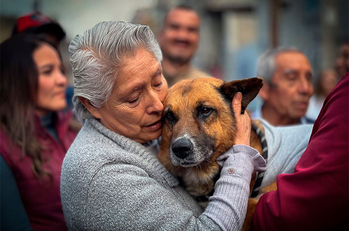 naucalpan andador lobito3