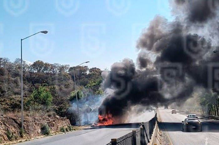 trailer chamapa lecheria