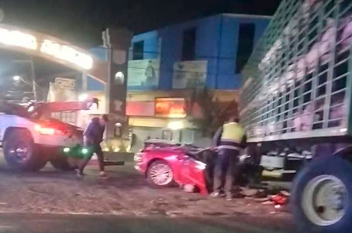 puercos mexico texcoco