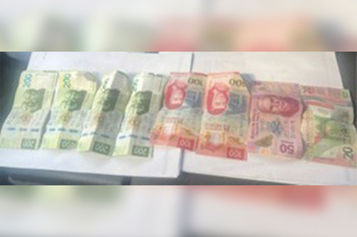 calimaya colombiano3