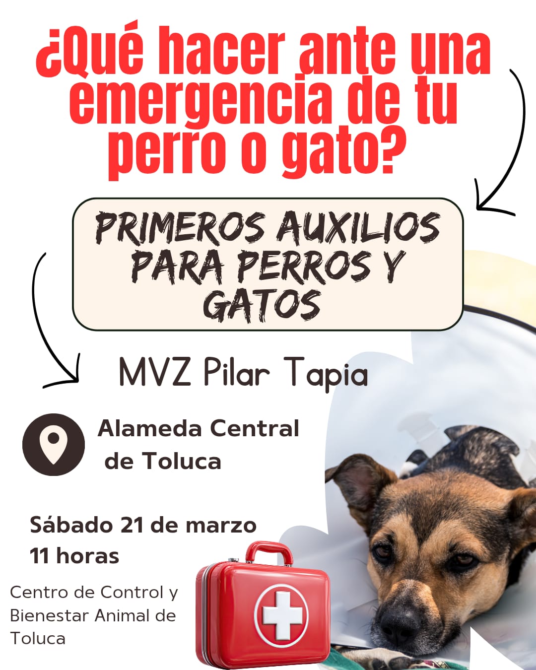 esterilizacion